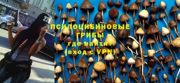 прущий лед Инта