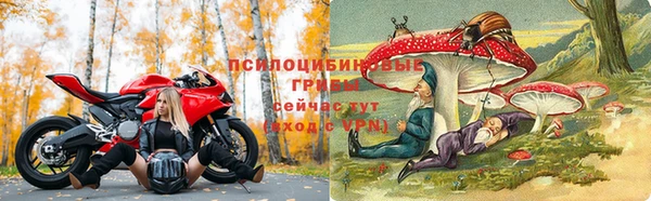 а пвп мука Инсар