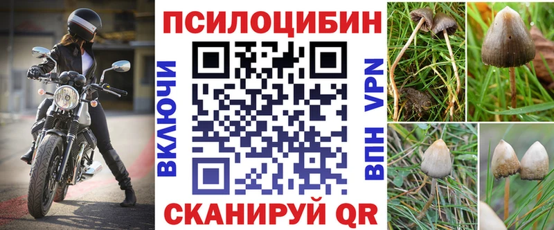 Купить  Зарайск  Галлюциногенные грибы Psilocybine cubensis 